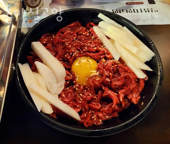술마실고양 이미지