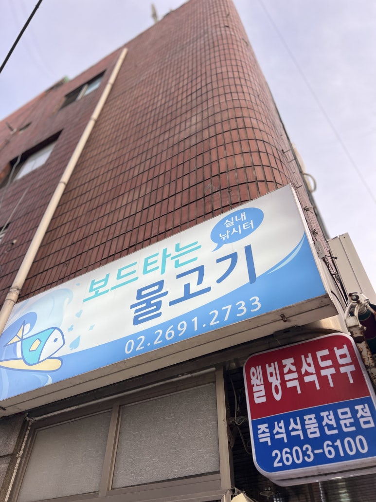 보드타는물고기 이미지