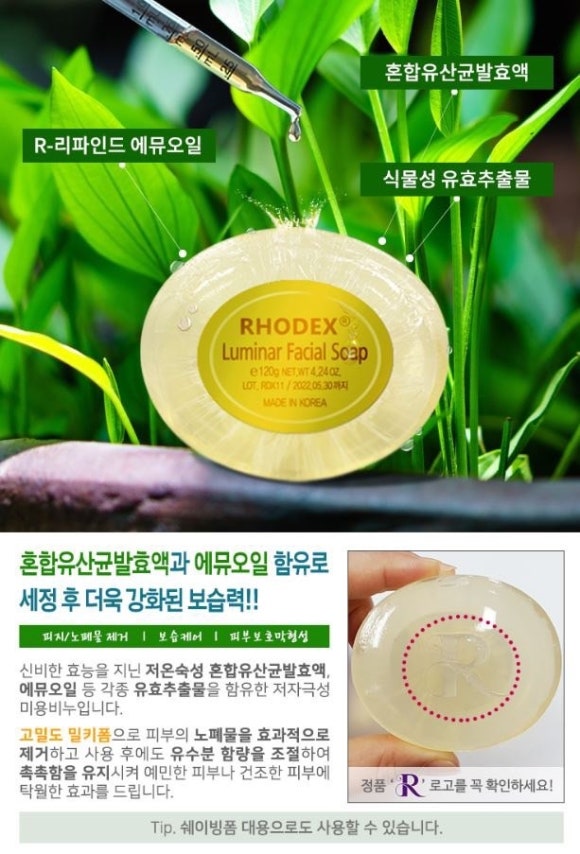 로덱스 이미지