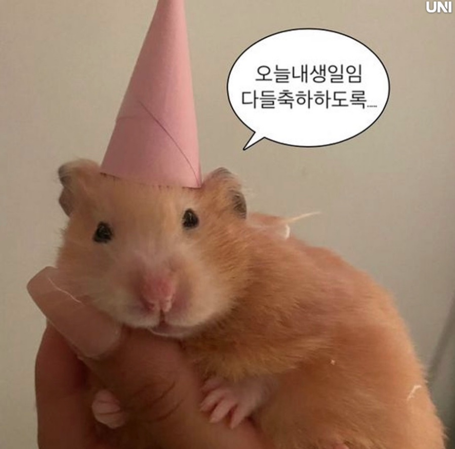 글리플케이크 이미지