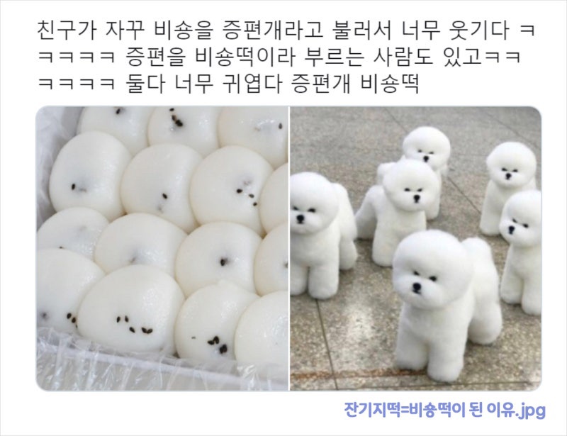소식다료 이미지