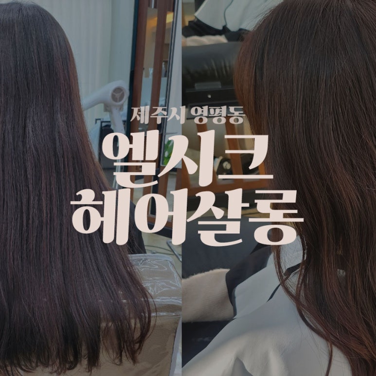 엘시크 이미지
