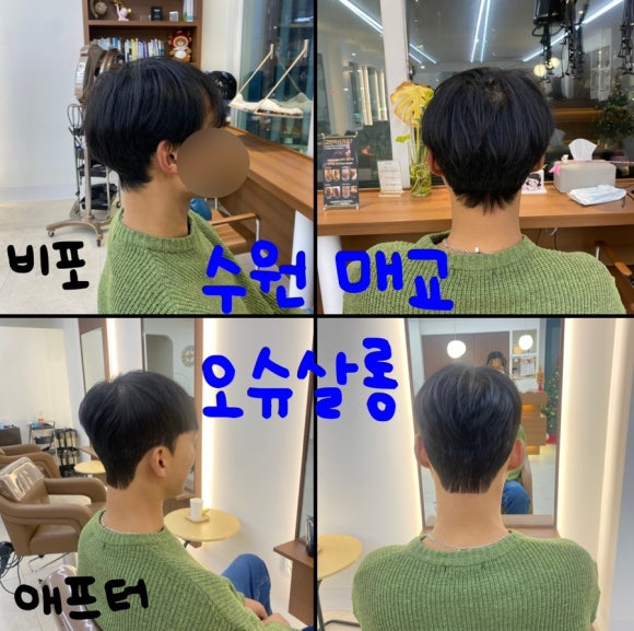 오슈살롱 이미지