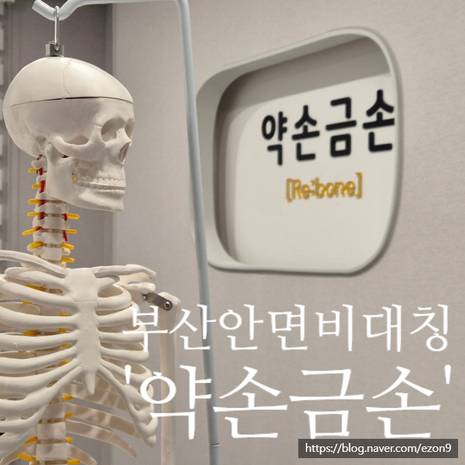 금손체형관리 이미지