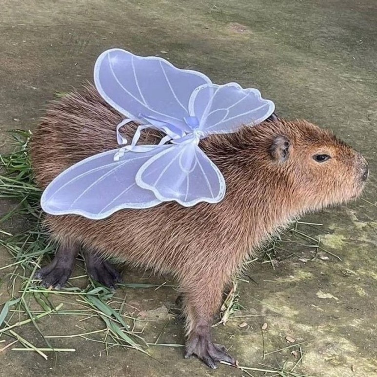 뉴이어 이미지