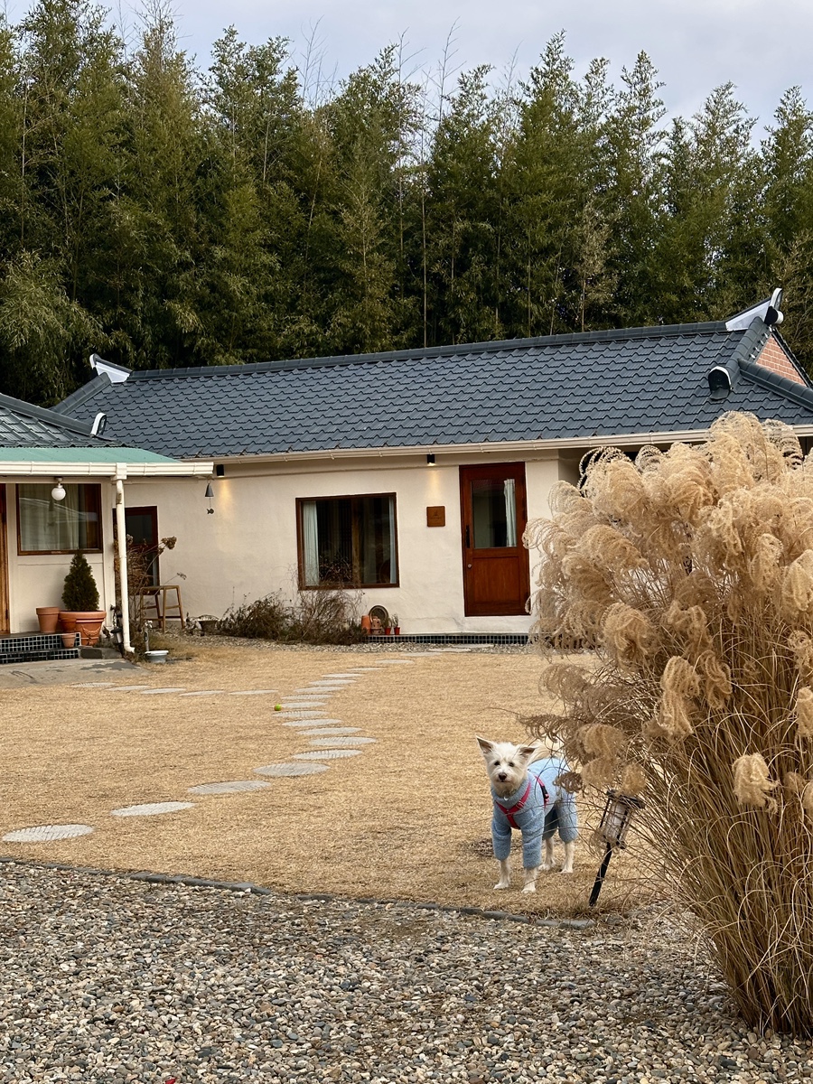 시작에머물다 이미지