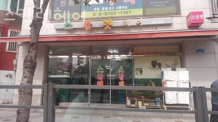 스칼렛헤어 이미지