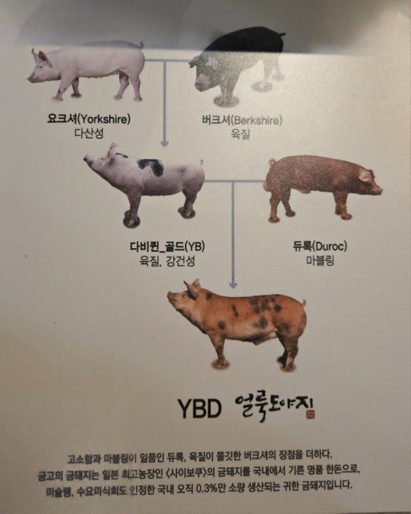 금고금돼지고깃집 이미지