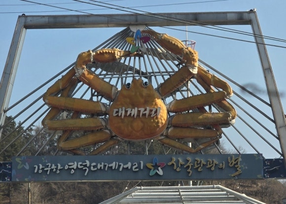 영덕대게 이미지