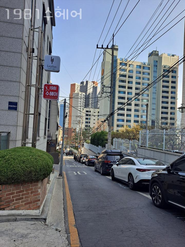 1981수헤어 이미지