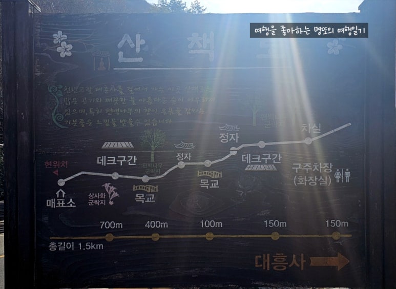 태양정 이미지
