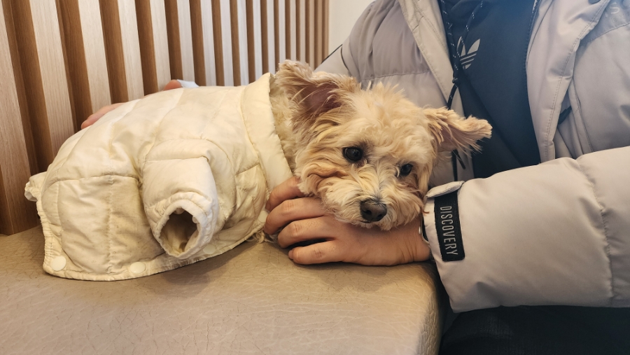 빵이가 이미지