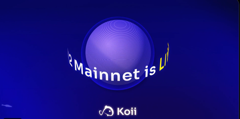 코이(koii) 이미지
