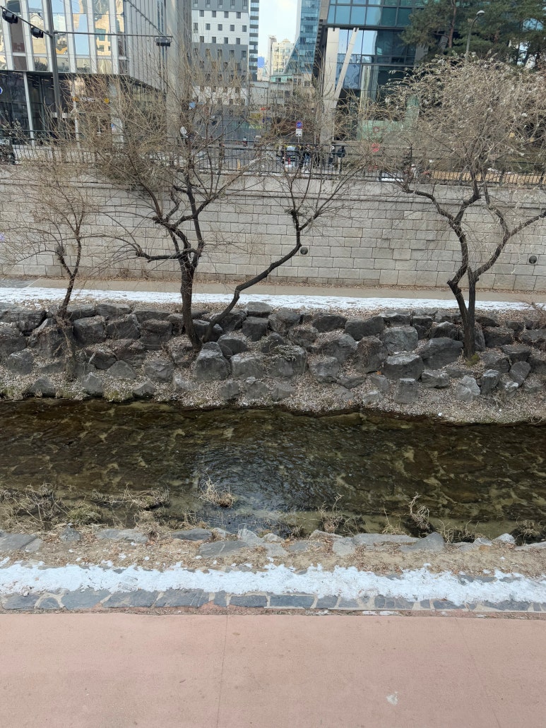 우디스테이 이미지