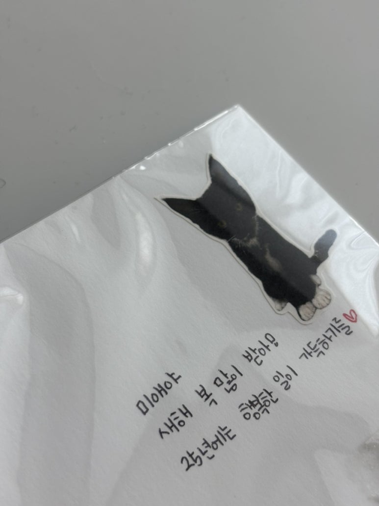 부부츄 이미지