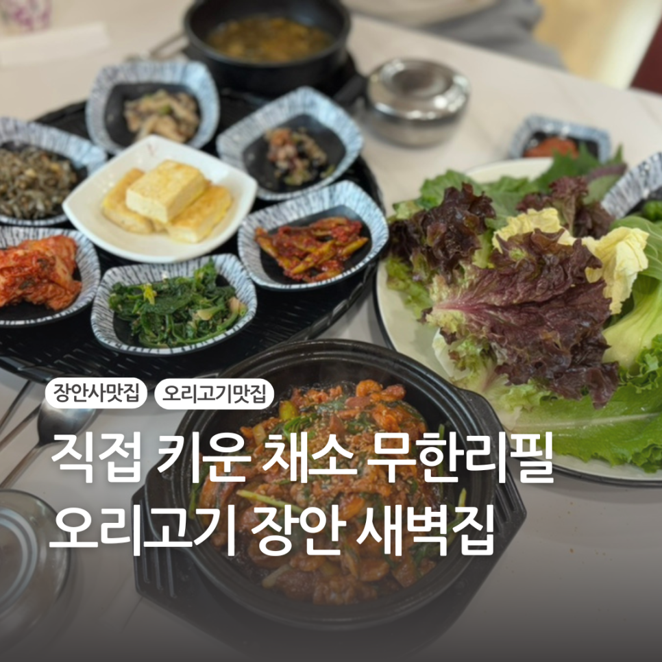 장안새벽집 이미지