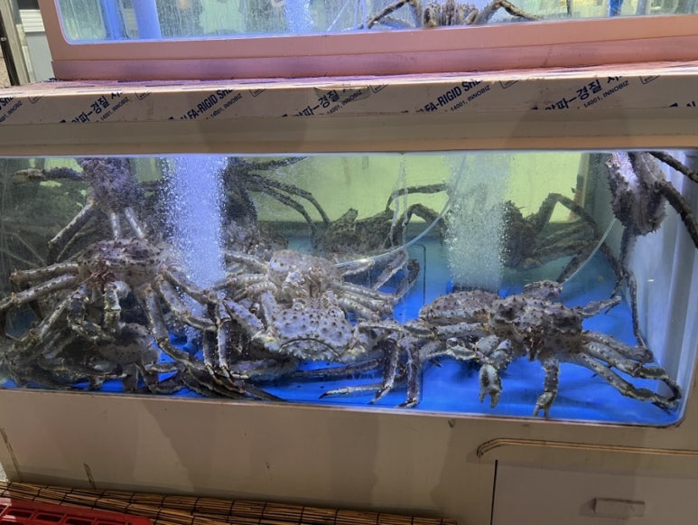 천상대게용인 이미지