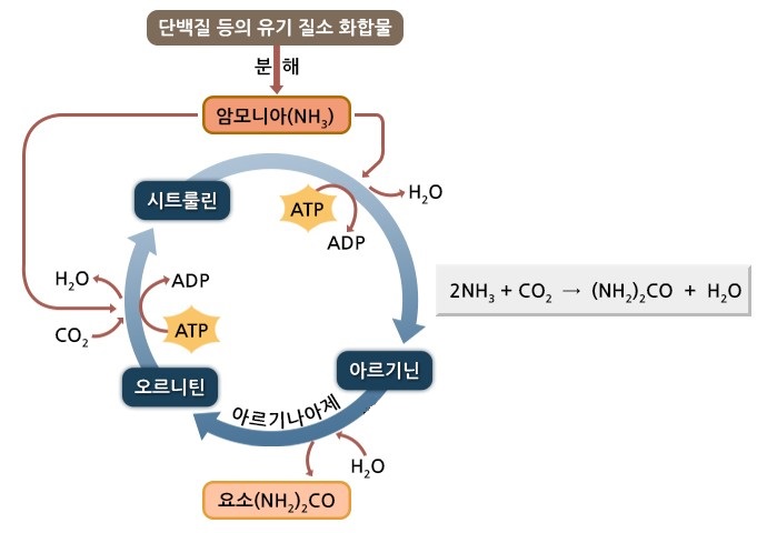 간성에너지 이미지