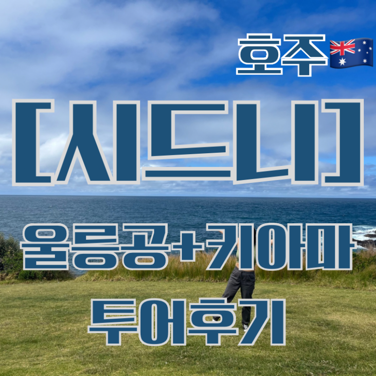 울릉씨투어 이미지