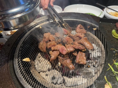 파란갈매기 이미지