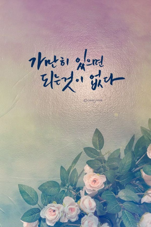 카페소라 이미지