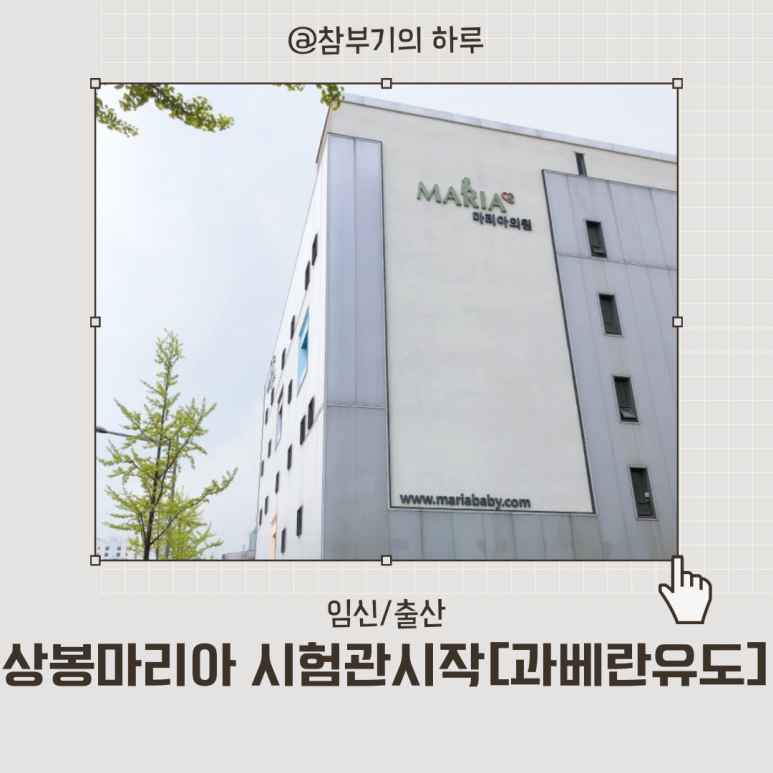 마리아의료재단마리아병원 이미지