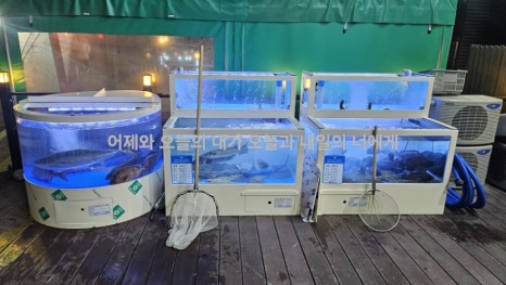 조아회 이미지