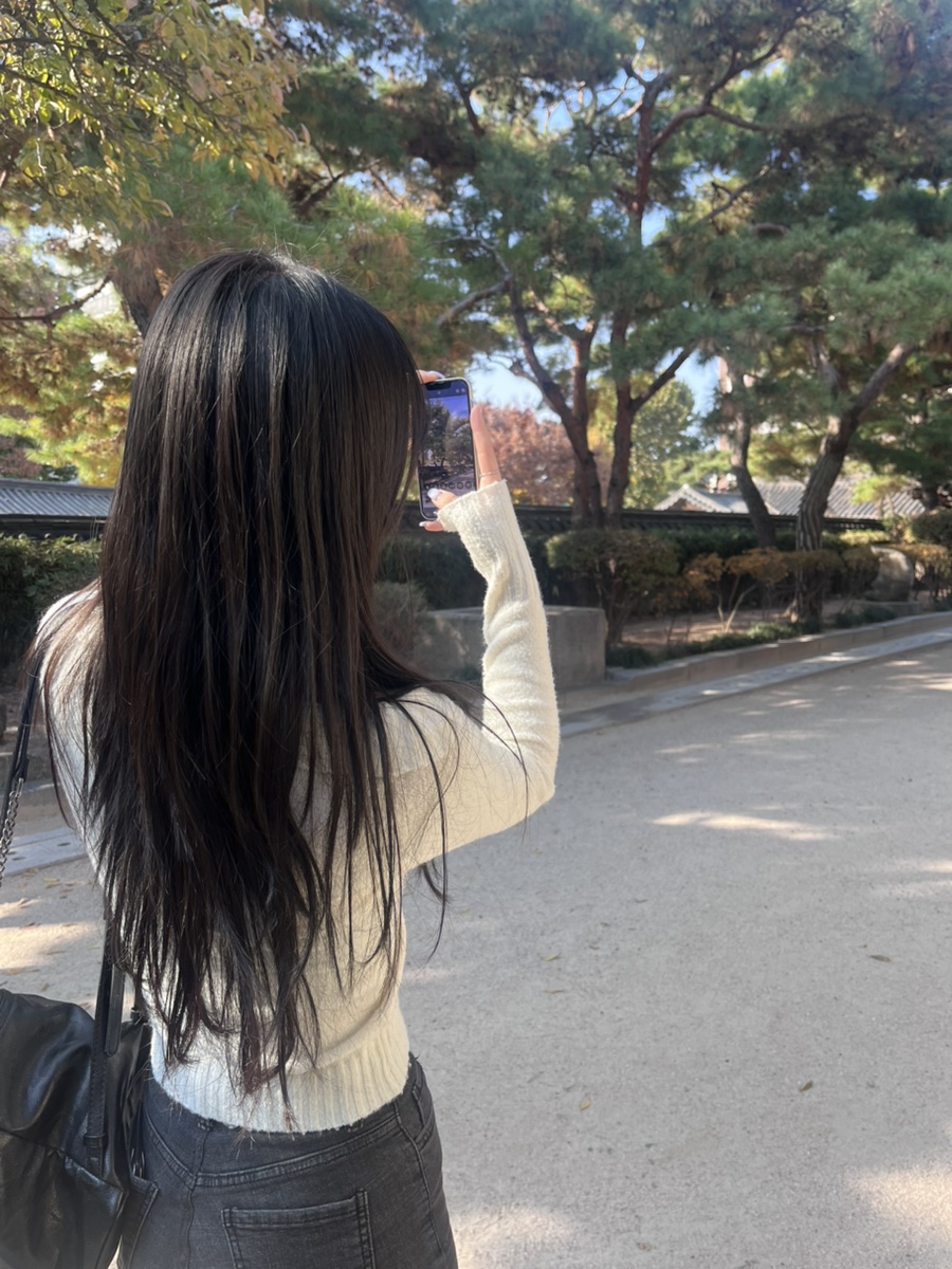 채로운 이미지