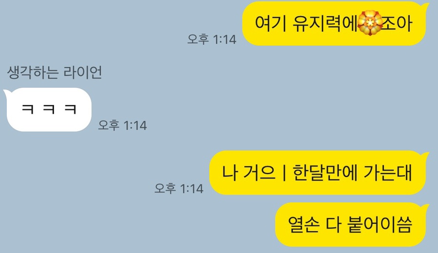 미야네일 이미지