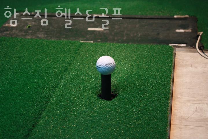 함스짐 이미지