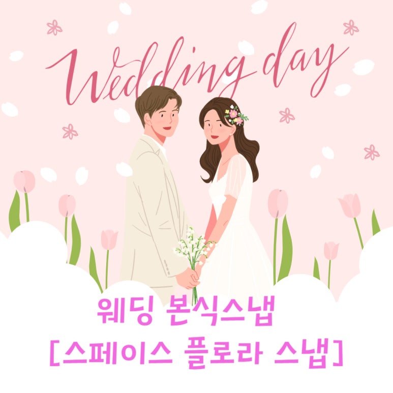 스페이스플로라 이미지