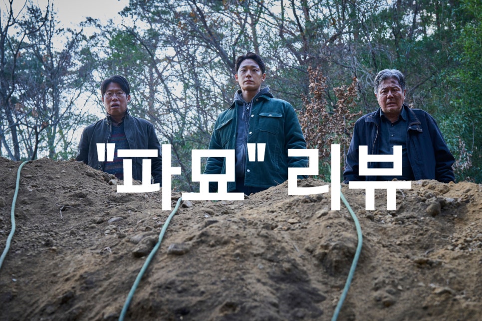 해제장의사 이미지
