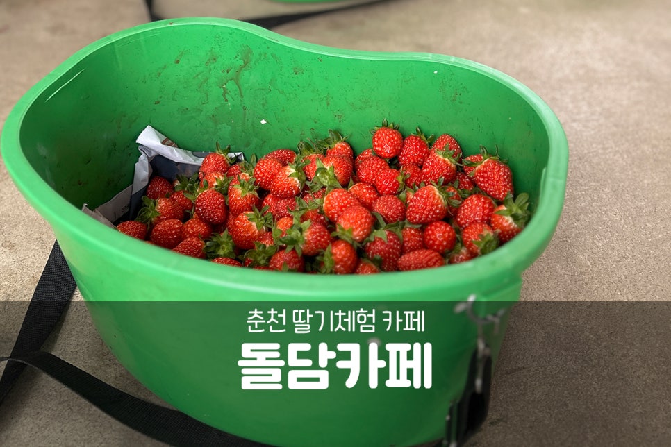 돌담체험농장 이미지