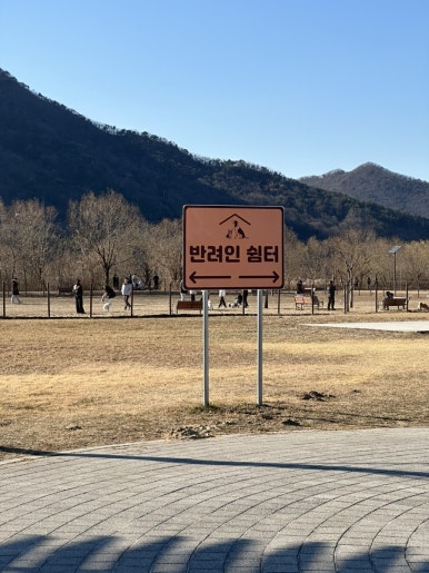 황산애견 이미지