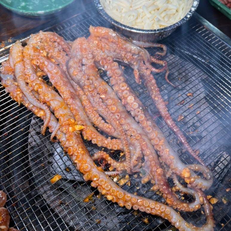 삼바리 이미지