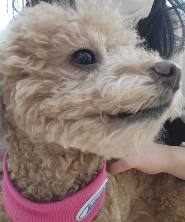 빛나다뷰티 이미지