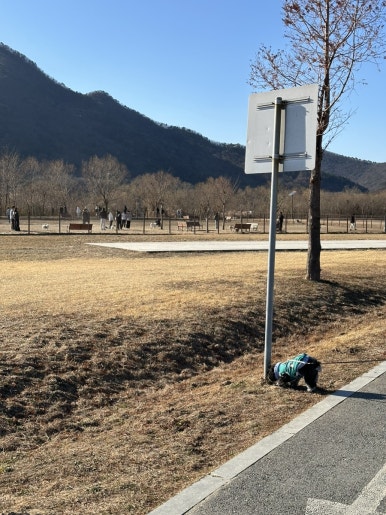 황산애견 이미지