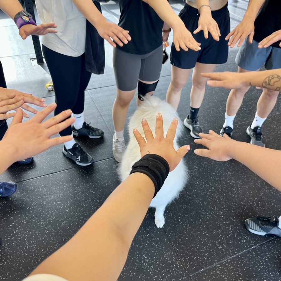 바솔트크로스핏 이미지
