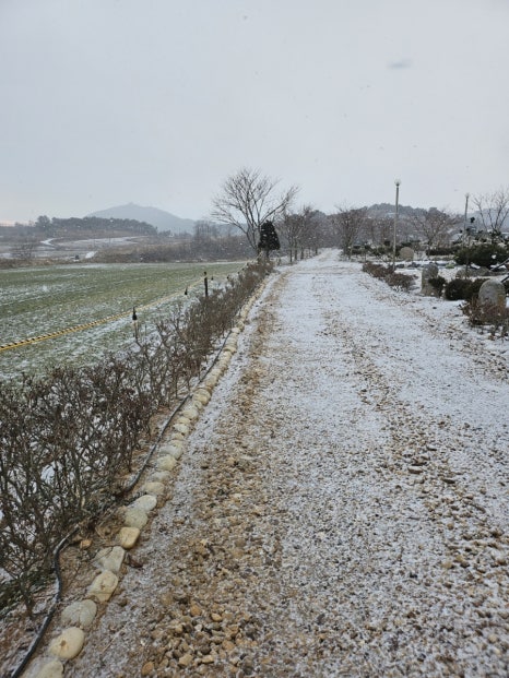 아침해변바베큐 이미지