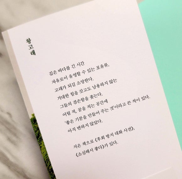 베스트투유 이미지