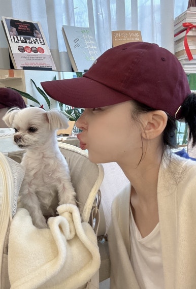 복호프 이미지