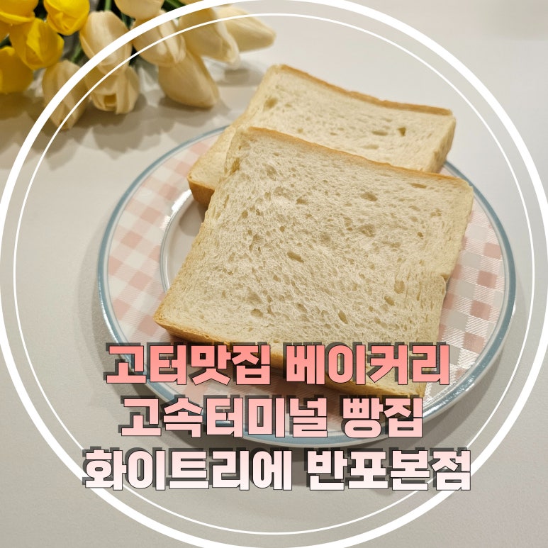 화이트리에 반포본점 이미지