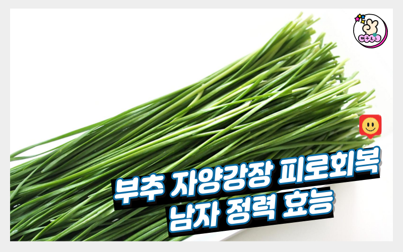 자양식품 이미지