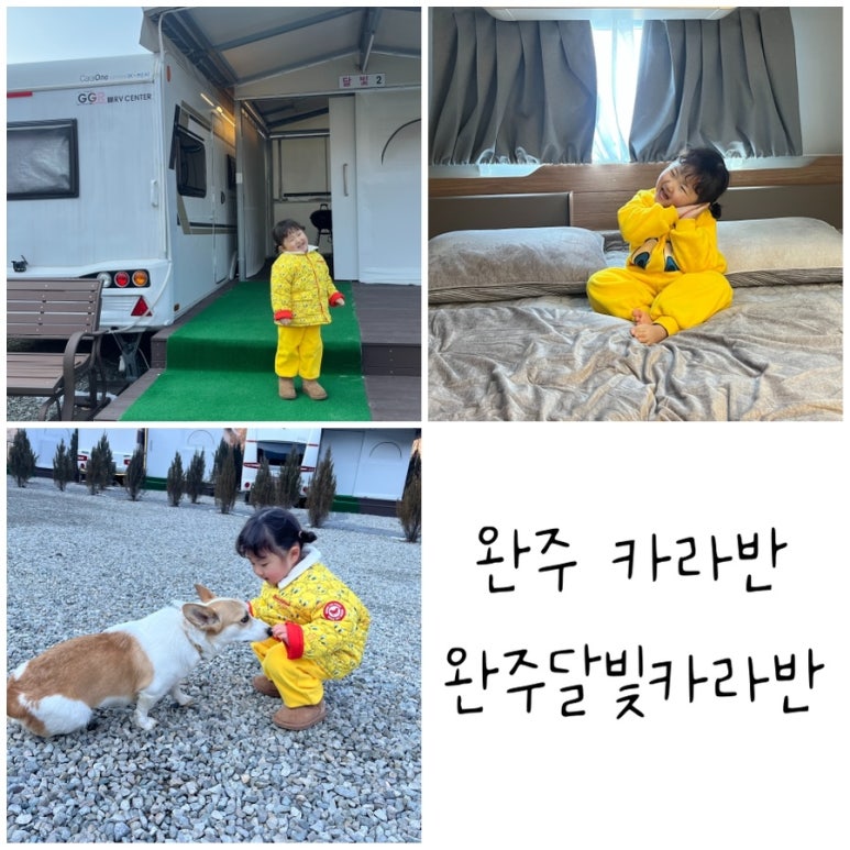 완주달빛카라반 이미지