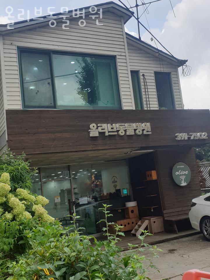 안풍주유소 이미지