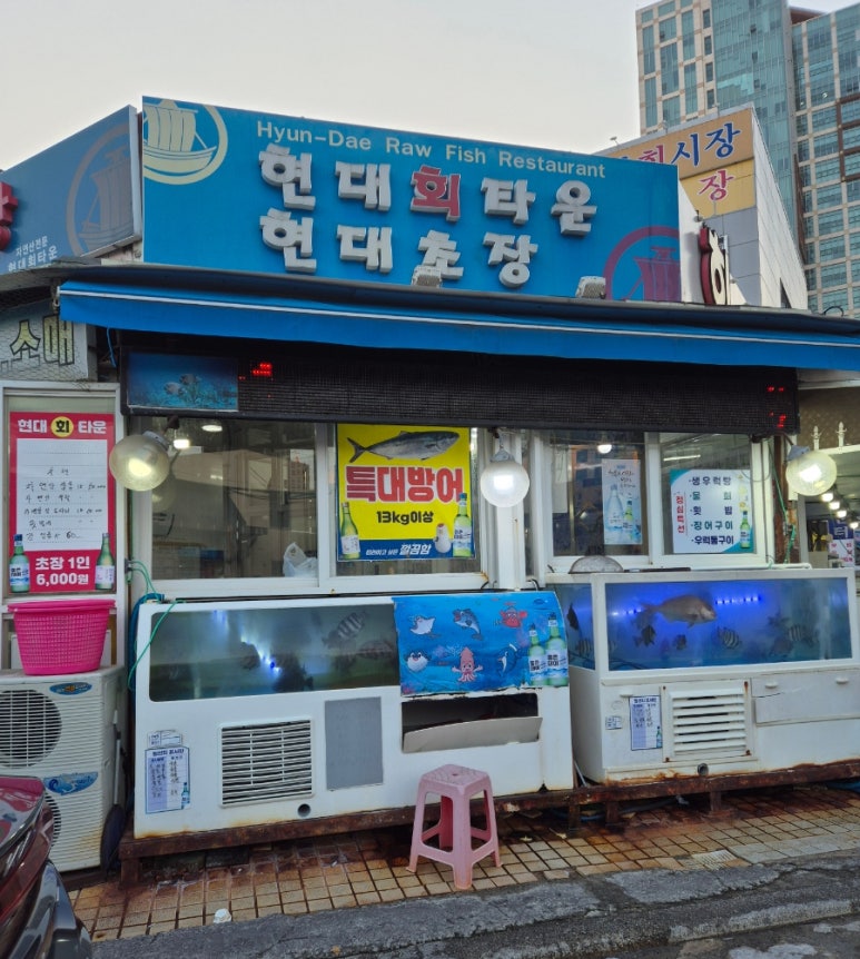 현대초장 이미지