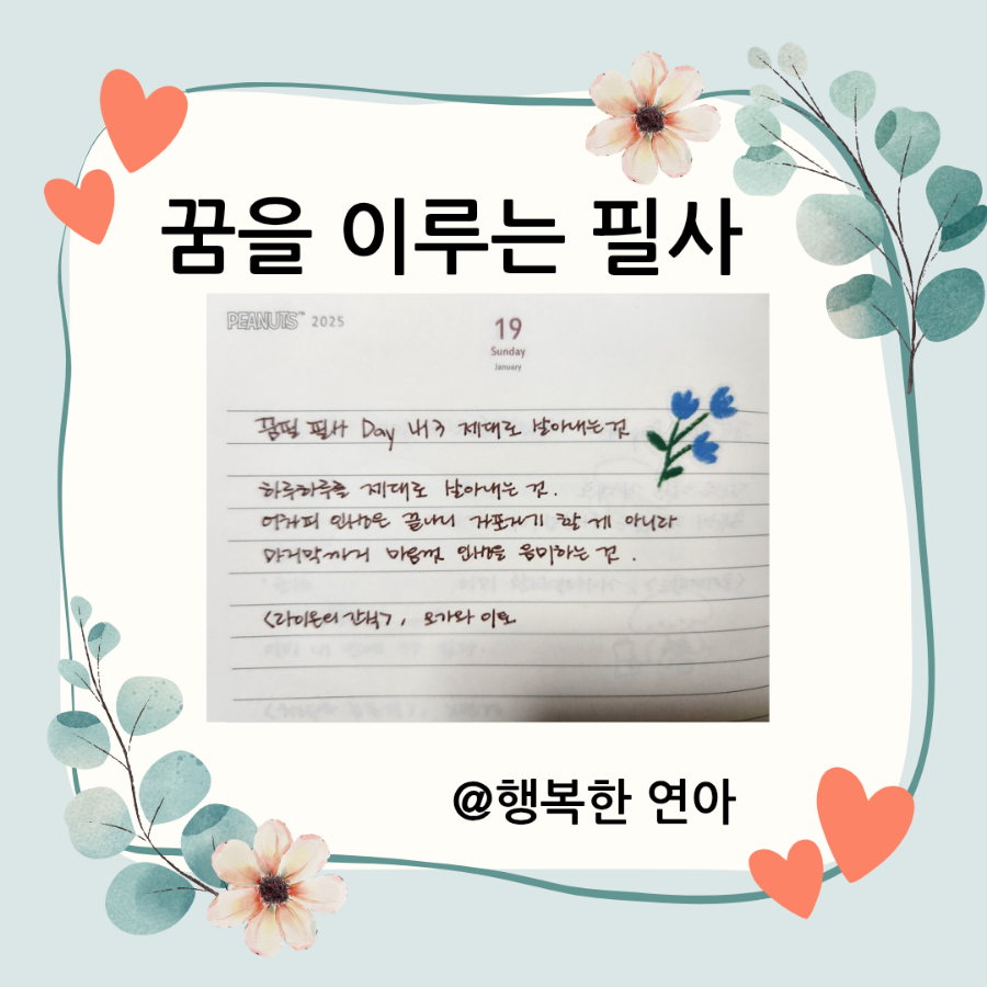 필413 이미지