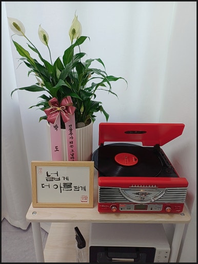 바니속눈썹 이미지