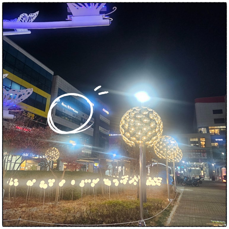 힐링보보하우스 이미지