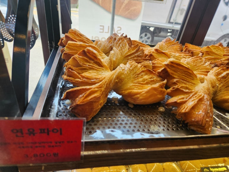 천개의 이파리 이미지